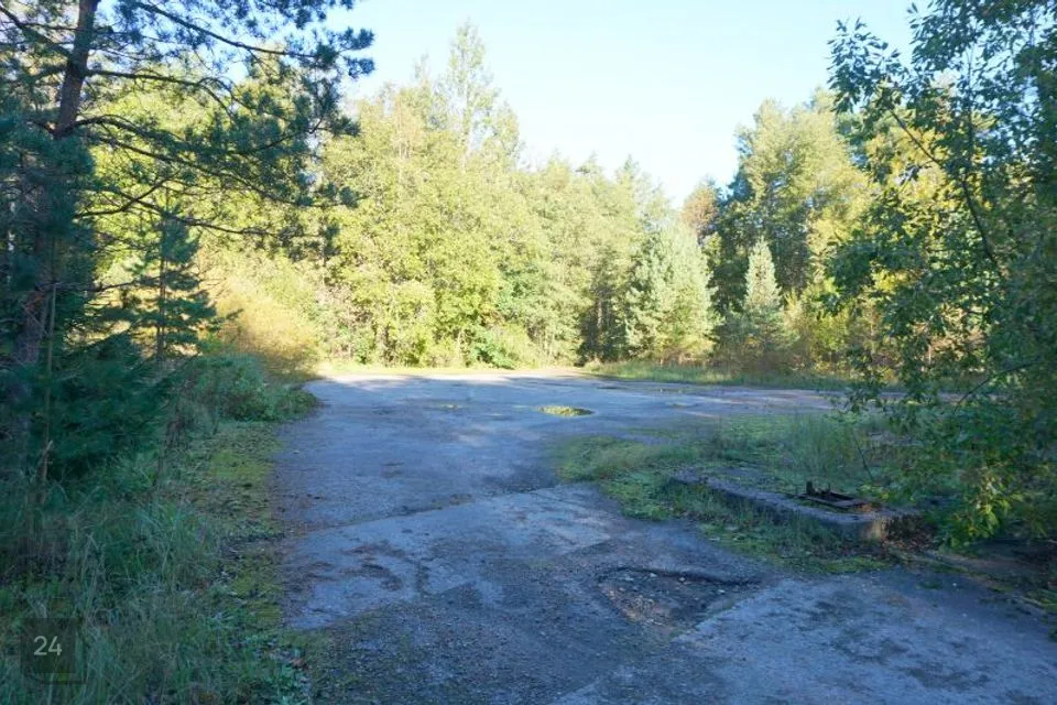Земля коммерческого назначения, 4853 m² участок в Hiiumaa vald, Tareste küla - фото 5