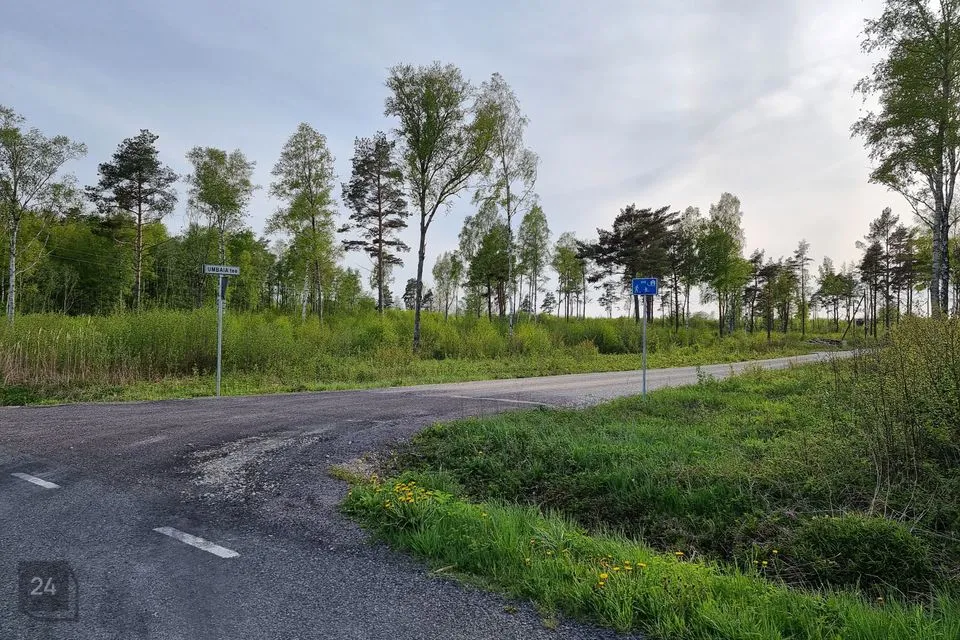 Elamumaa, 9641 m² Maa  -  Lääne-Nigula vald, Österby küla - foto 5