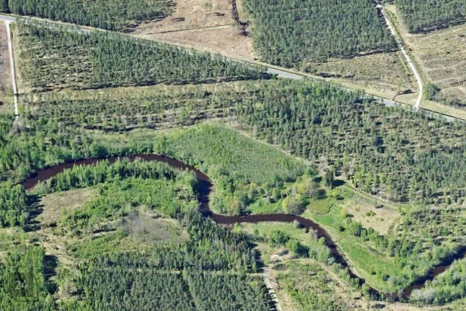 Maatulundusmaa, 27800 m² участок в Alutaguse vald, Roostoja küla - фото 2