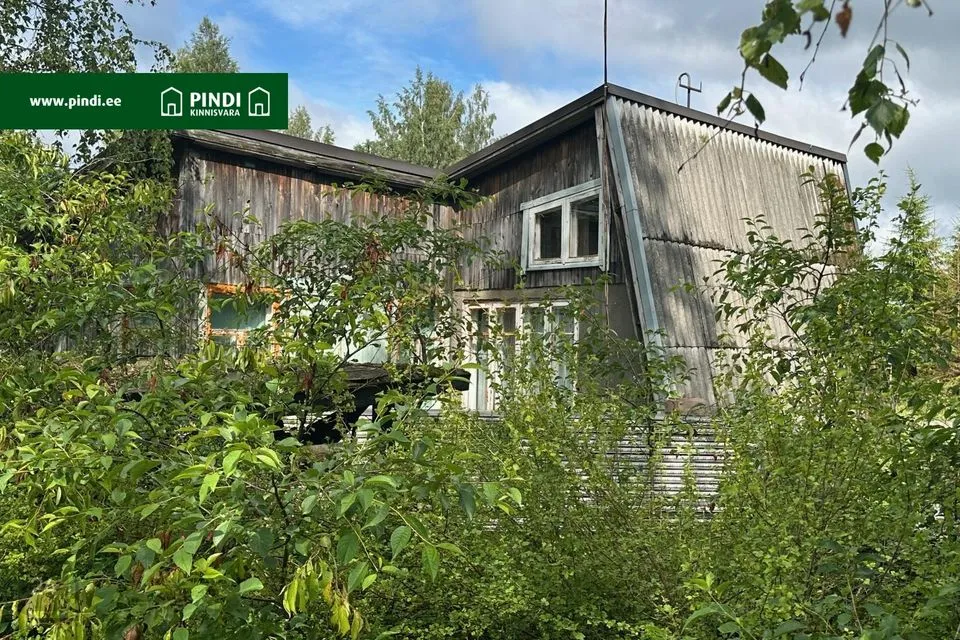 3-toaline Suvila - Türi vald, Kolu küla - foto 3