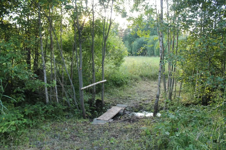 Elamumaa, 17289 m² Maa - Türi vald, Vilita küla - foto 4