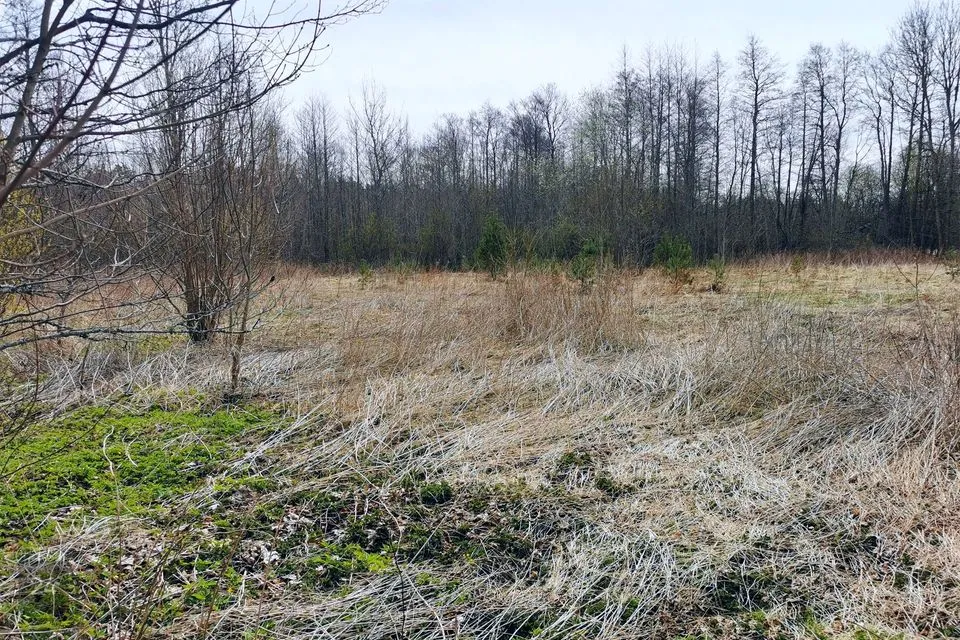 Maatulundusmaa, 17327 m² участок в Lääne-Nigula vald, Elbiku küla / Ölbäck - фото 3