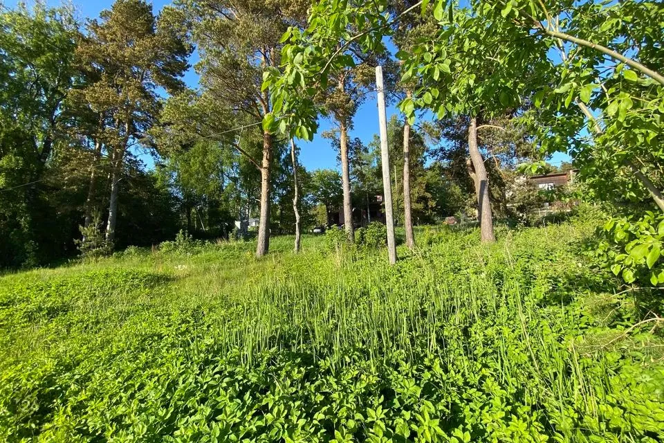 6700 m² Maa - Tallinn, Haabersti linnaosa