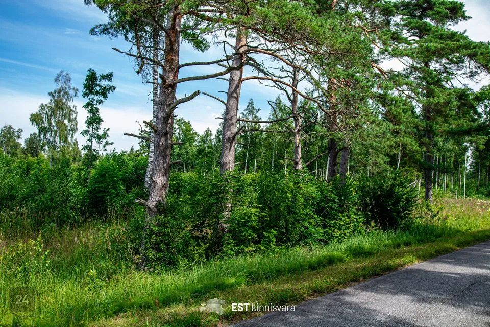Maatulundusmaa, 10012 m² участок в Lääneranna vald, Rädi küla - фото 4