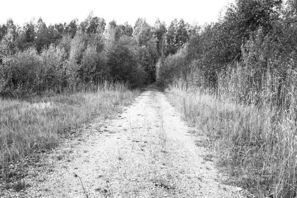 Tootmismaa, 12281 m² Maa - Hiiumaa vald, Lehtma küla - foto 5