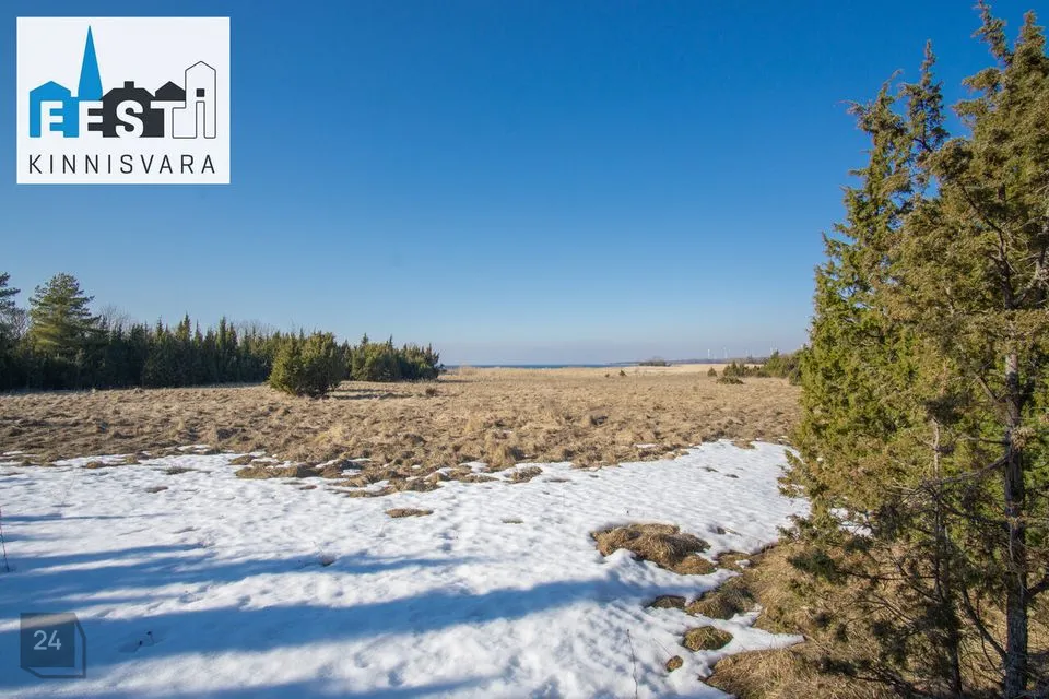 Maatulundusmaa, 370390 m² Maa  -  Lääneranna vald, Esivere küla - foto 3