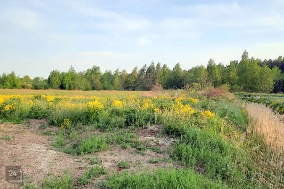 Земля жилой застройки, 899 m² участок в Viimsi vald, Äigrumäe küla - фото 5