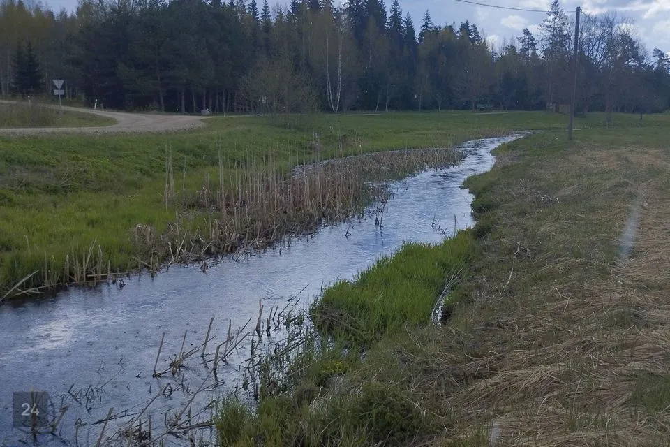 Maatulundusmaa, 12231 m² участок в Türi vald, Kolu küla - фото 2