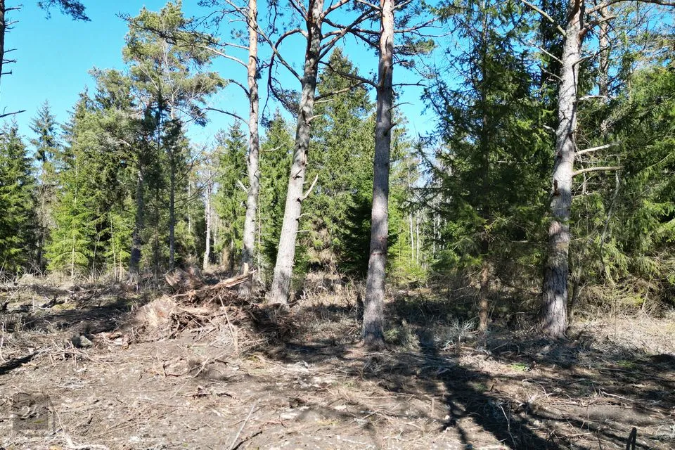 Elamumaa, 5001 m² Maa  -  Lääne-Harju vald, Meremõisa küla - foto 2