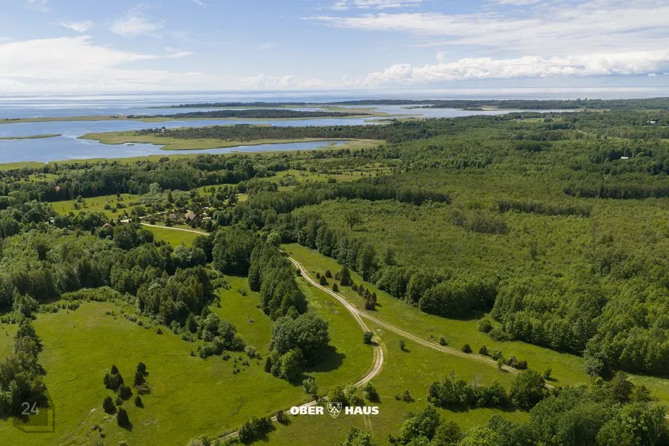 Maatulundusmaa, 5974 m² Maa  -  Lääneranna vald, Raespa küla - foto 5