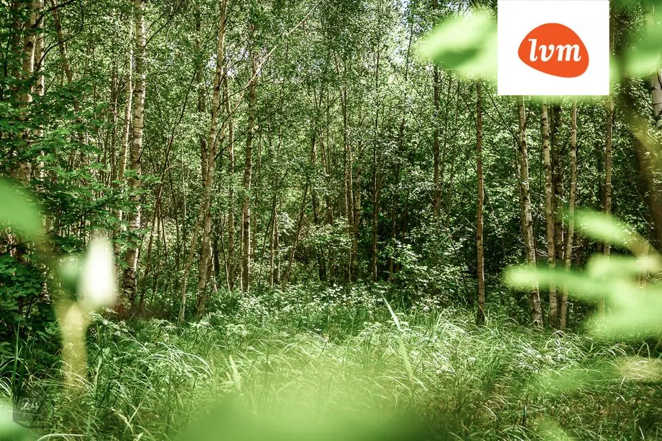 Elamumaa, 4991 m² Maa - Saaremaa vald, Mändjala - foto 4