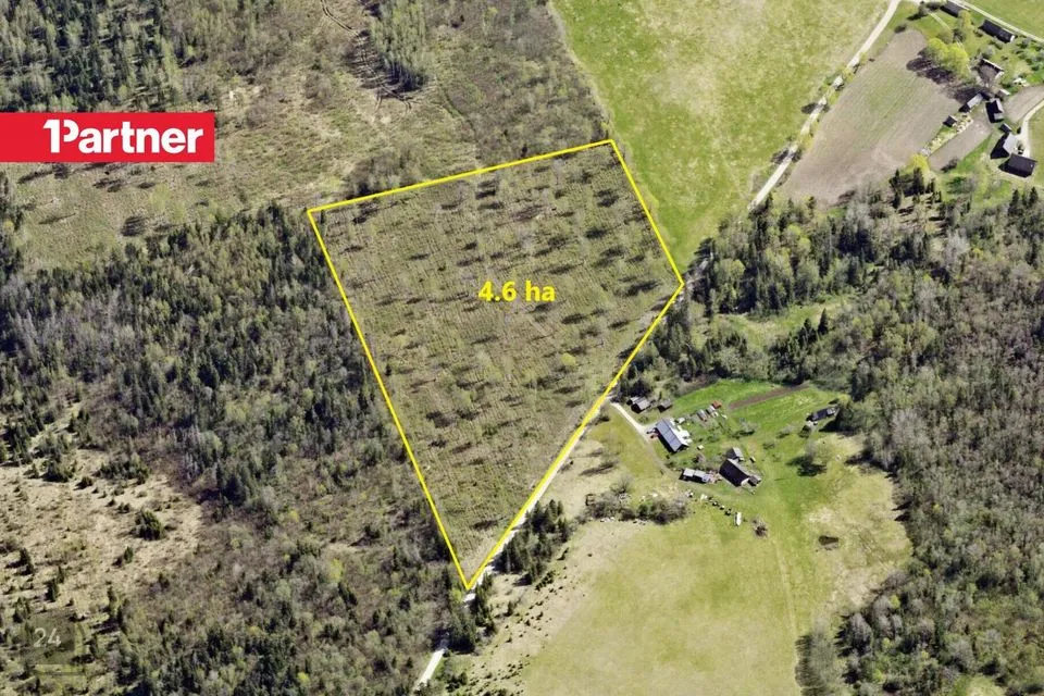 Maatulundusmaa, 46052 m² участок в Rapla vald, Kodila-Metsküla
