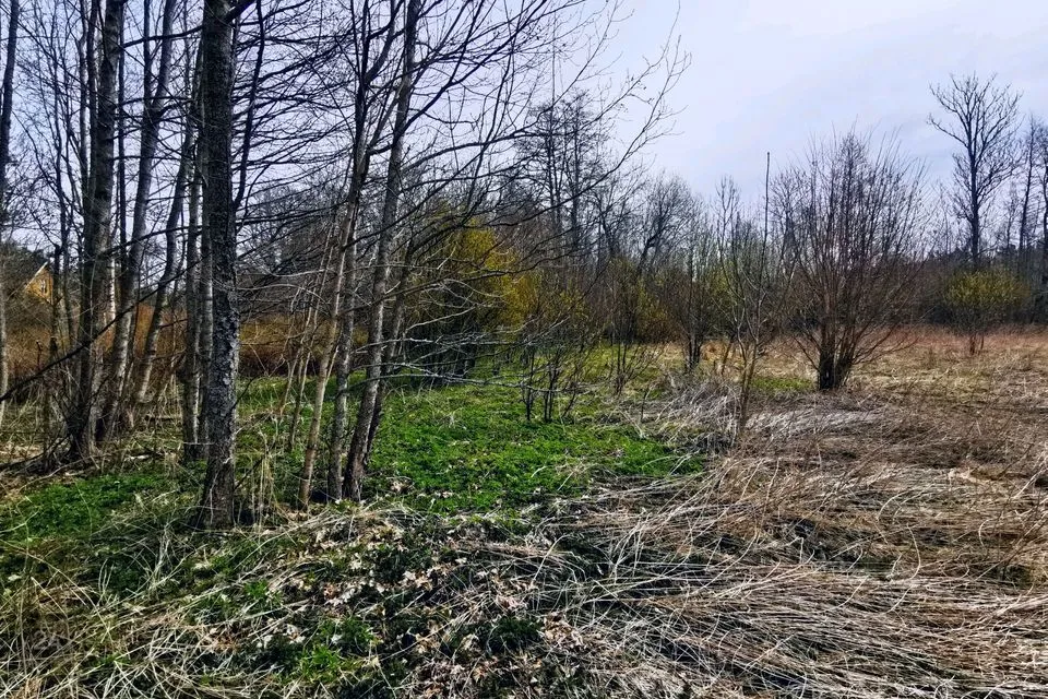 Maatulundusmaa, 17327 m² участок в Lääne-Nigula vald, Elbiku küla / Ölbäck - фото 5