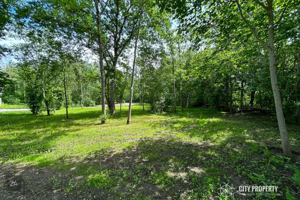 Maatulundusmaa, 11340 m² Maa - Saue vald, Püha küla - foto 4