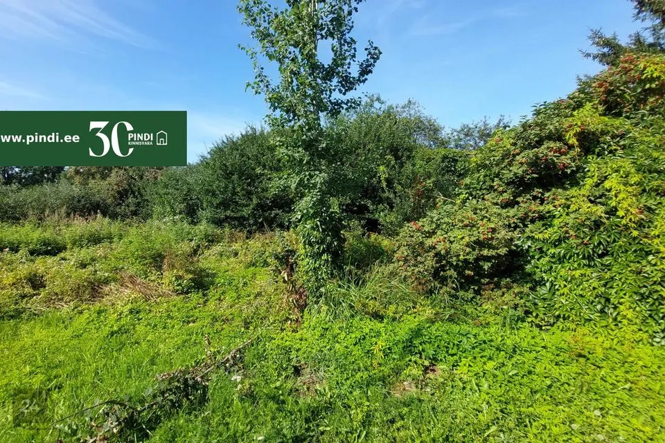 4-room Summer home in Kohtla-Järve linn, Järve linnaosa - photo 5