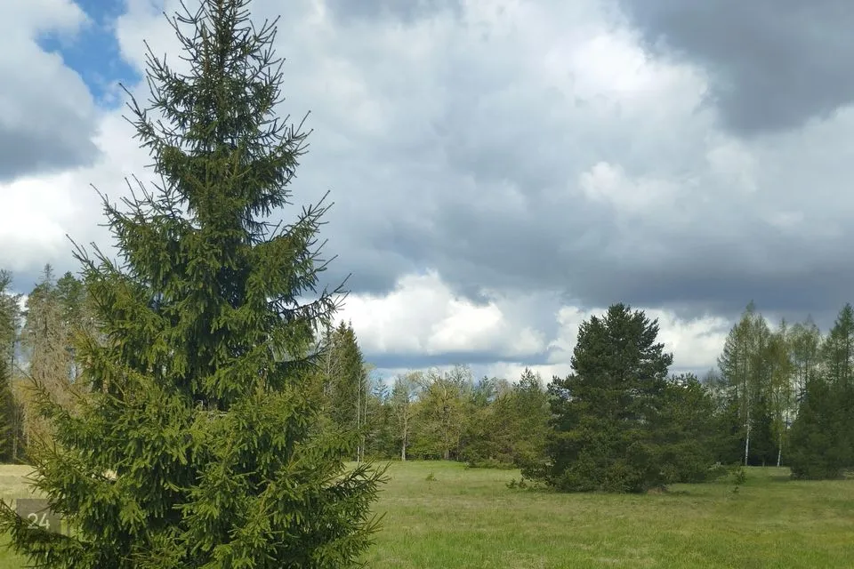 Maatulundusmaa, 12231 m² участок в Türi vald, Kolu küla - фото 3