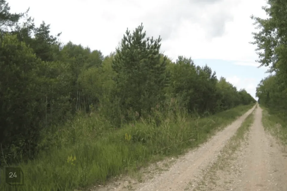 Maatulundusmaa, 12100 m² Maa  -  Saaremaa vald, Unimäe küla - foto 2