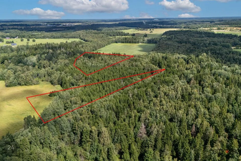 Maatulundusmaa, 20190 m² Maa - Lääne-Harju vald, Nahkjala küla - foto 2