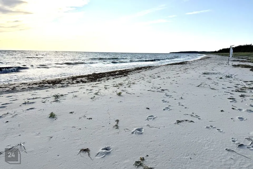 Elamumaa, 5281 m² Maa  -  Lääne-Nigula vald, Elbiku küla / Ölbäck - foto 4