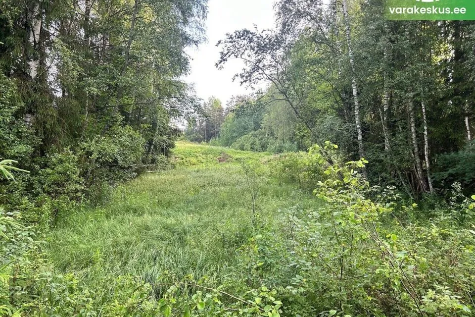 Maatulundusmaa, 25035 m² Maa - Otepää vald, Kastolatsi küla - foto 5