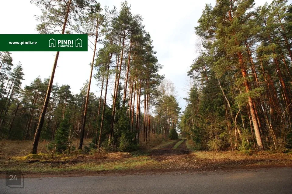 Maatulundusmaa, 13961 m² участок в Hiiumaa vald, Vahtrepa küla
