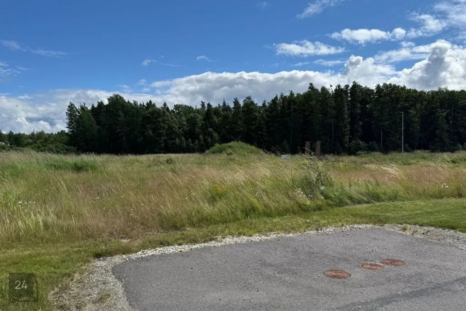 Elamumaa, 1361 m² Maa  -  Viimsi vald, Lubja küla - foto 3