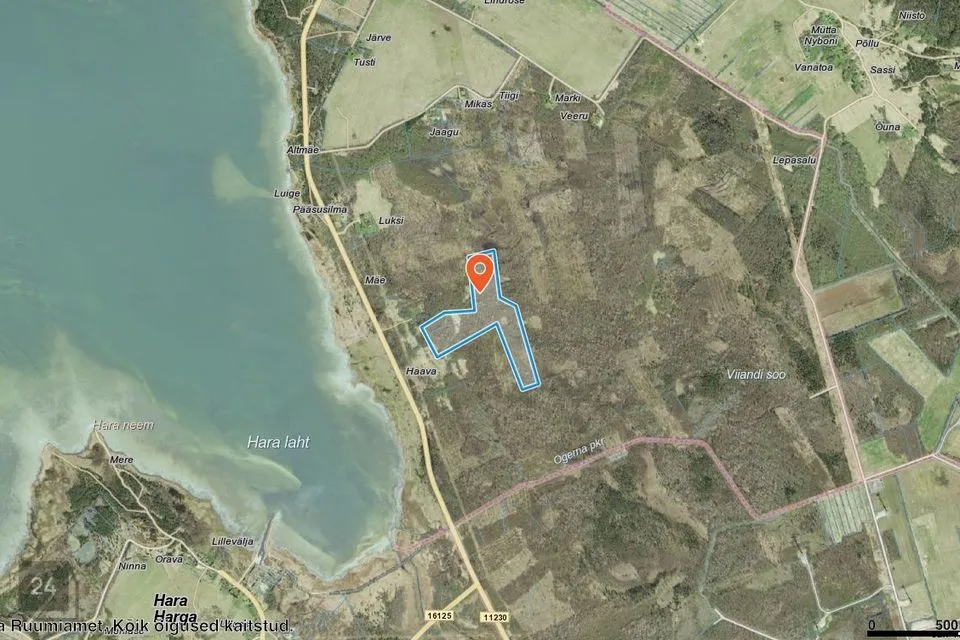 Maatulundusmaa, 161432 m² Maa  -  Lääne-Nigula vald, Riguldi küla / Rickul