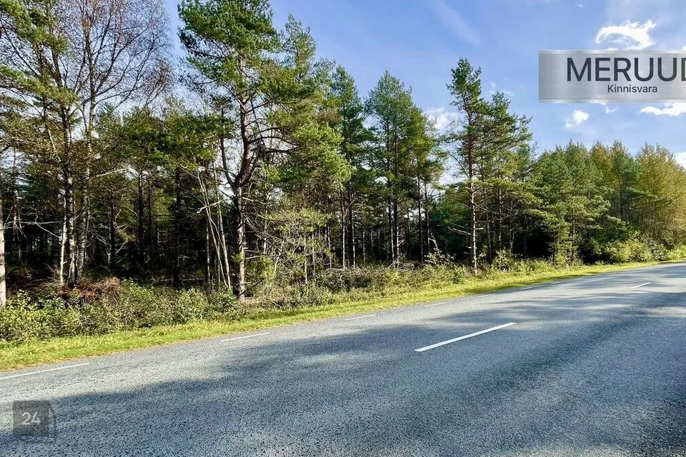 Maatulundusmaa, 22100 m² участок в Saaremaa vald, Vantri küla