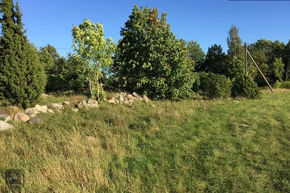 Maatulundusmaa, 10419 m² участок в Lääneranna vald, Raespa küla