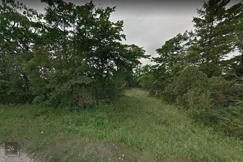 Elamumaa, 8878 m² Maa  -  Lääneranna vald, Virtsu alevik - foto 2