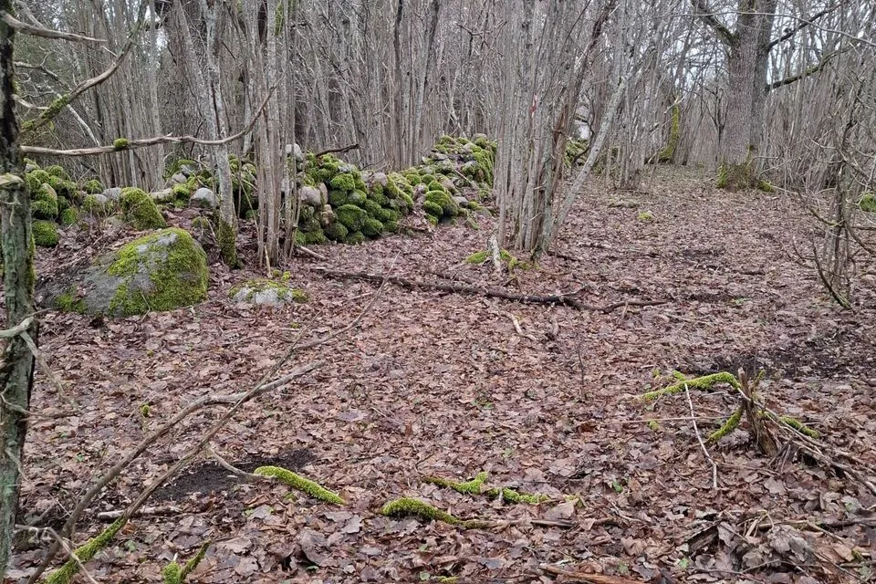 Maatulundusmaa, 7399 m² Maa - Saaremaa vald, Muratsi küla - foto 4