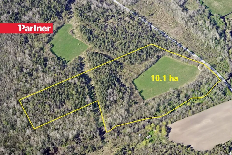 Maatulundusmaa, 101462 m² Maa  -  Saaremaa vald, Maleva küla