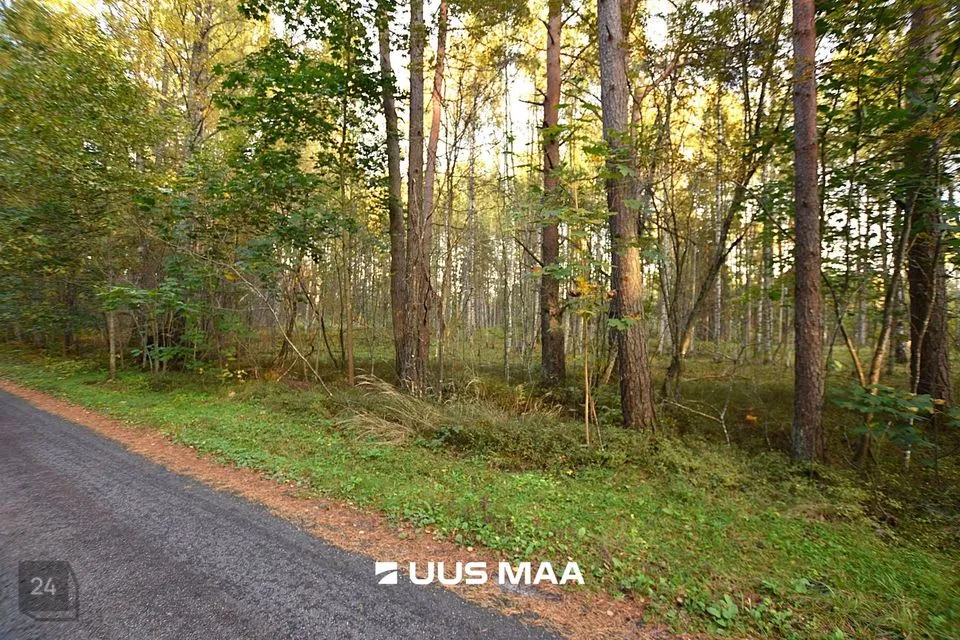Elamumaa, 2607 m² Maa  -  Häädemeeste vald, Reiu küla - foto 4
