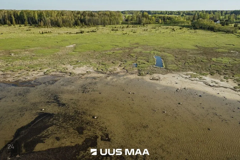 Maatulundusmaa, 33276 m² Maa  -  Saaremaa vald, Parasmetsa küla - foto 3