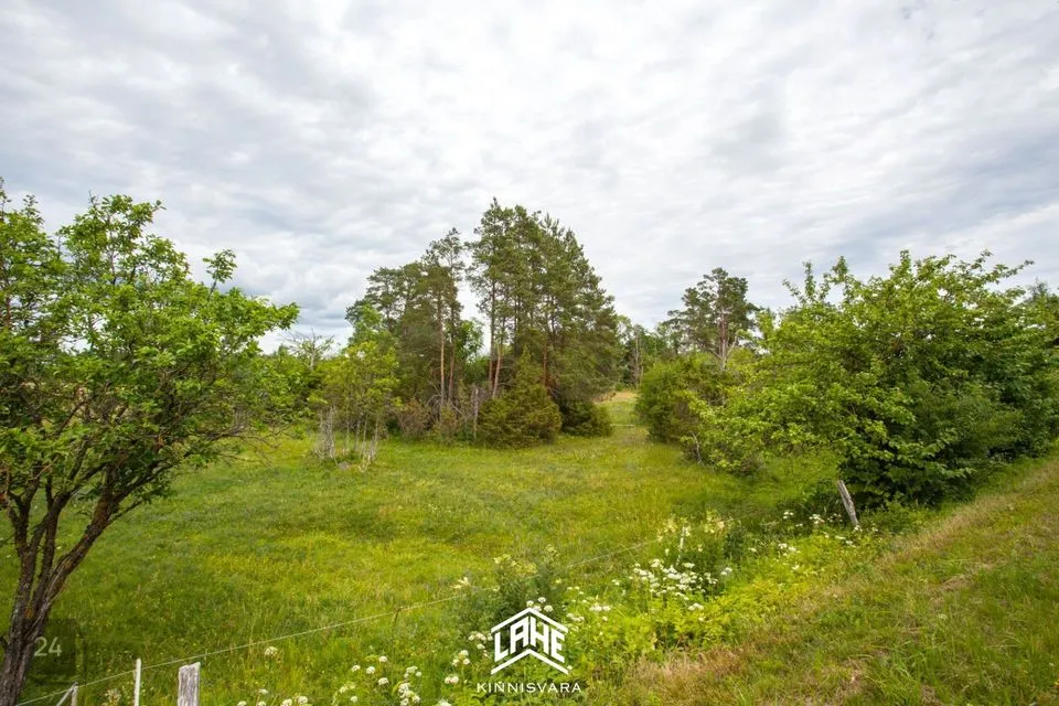 Maatulundusmaa, 16091 m² Maa  -  Saaremaa vald, Kaarma küla - foto 2