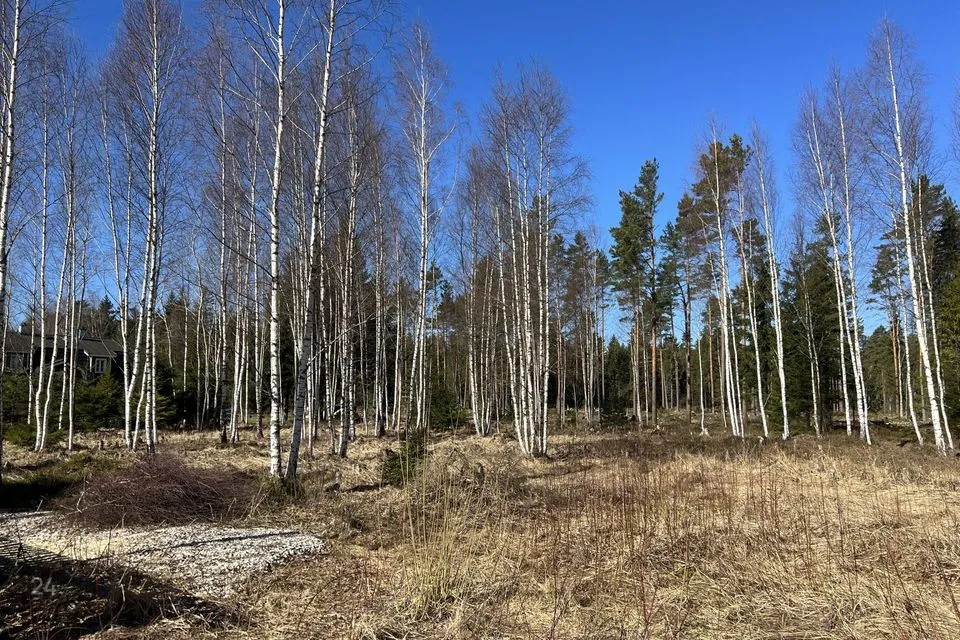 Земля жилой застройки, 2480 m² участок в Saku vald, Roobuka küla