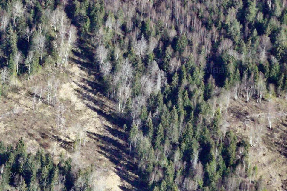 Maatulundusmaa, 21700 m² Maa  -  Saue vald, Laitse küla - foto 3