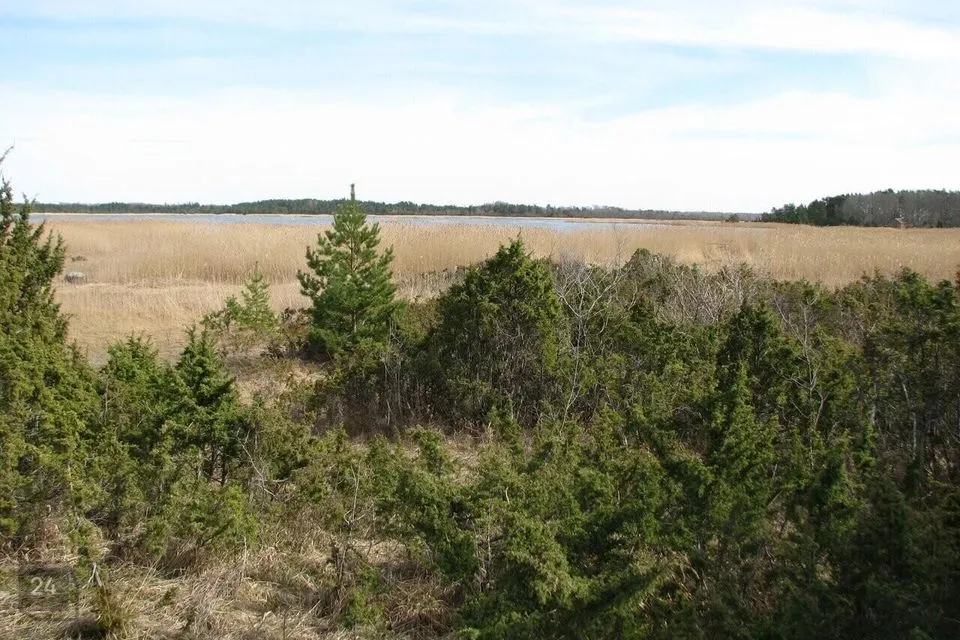 Elamumaa, 8878 m² Maa  -  Lääneranna vald, Virtsu alevik - foto 5