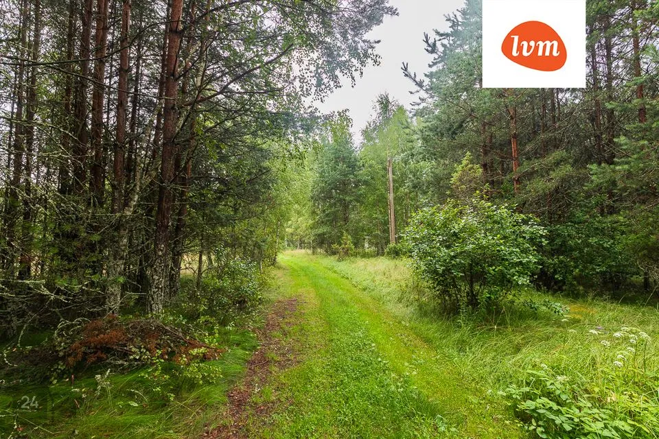 Maatulundusmaa, 13086 m² Maa  -  Alutaguse vald, Kuru küla