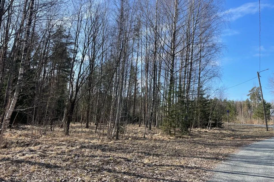 Земля жилой застройки, 1336 m² участок в Alutaguse vald, Karjamaa küla - фото 5
