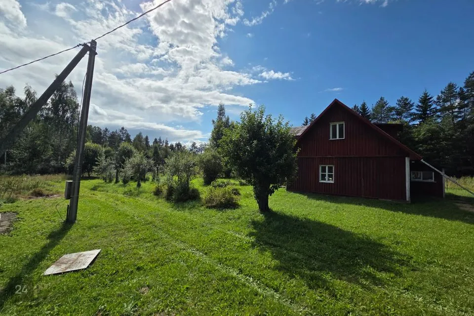 Maatulundusmaa, 103155 m² Maa  -  Türi vald, Lauri küla - foto 4