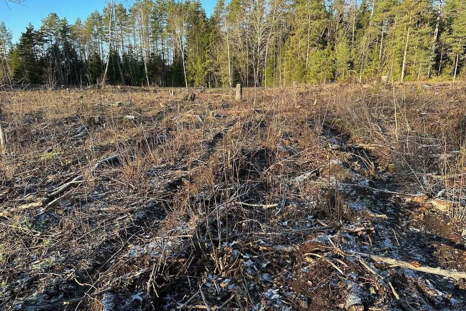 Maatulundusmaa, 62300 m² Maa - Saue vald, Ürjaste küla - foto 4