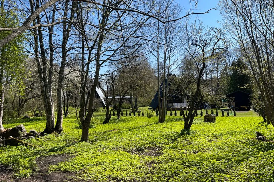 Elamumaa, 1204 m² Maa  -  Viimsi vald, Randvere küla - foto 2
