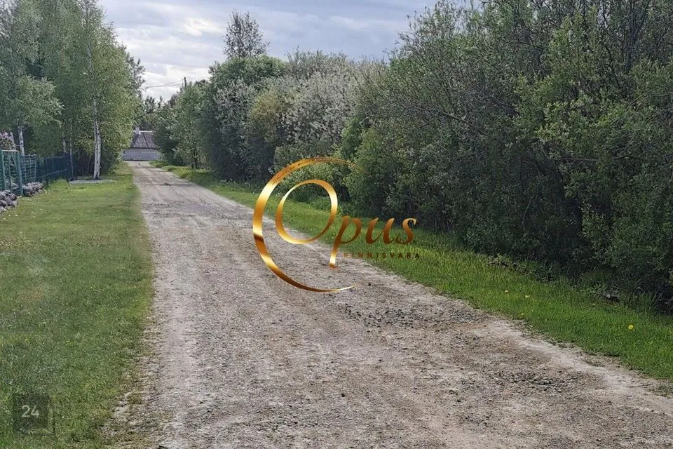 Elamumaa, 1285 m² Maa  -  Alutaguse vald, Vasknarva küla - foto 5