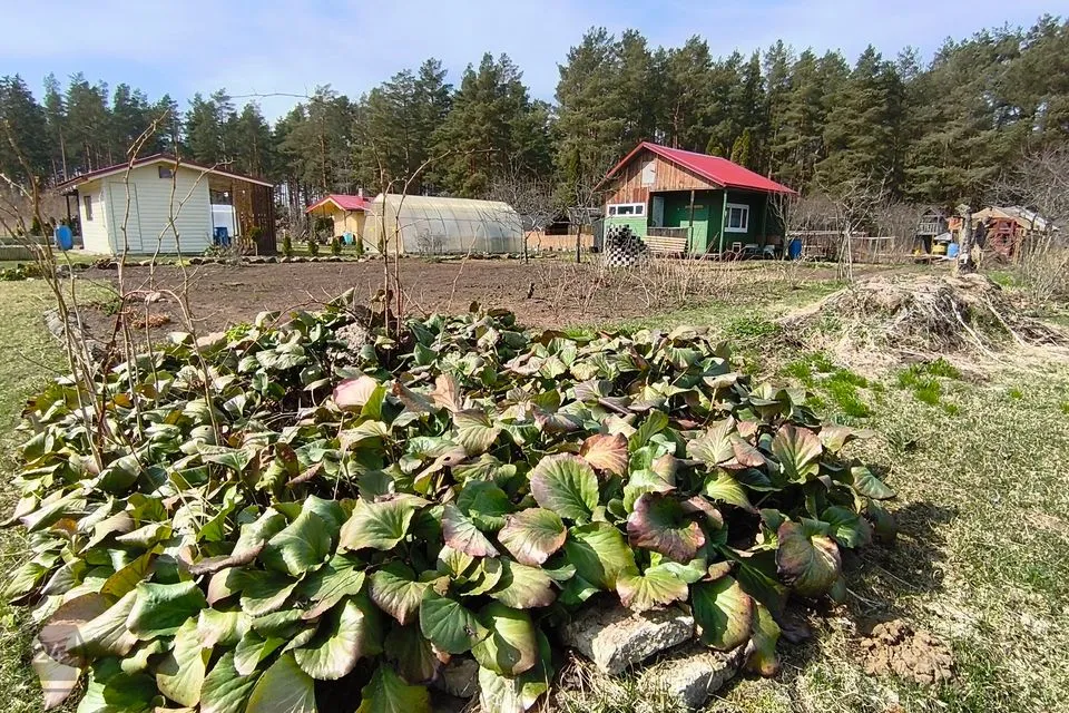 1-комнатная Дача в Jõhvi vald, Voka alevik