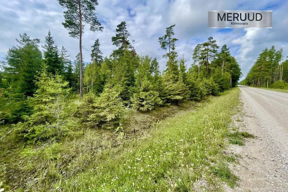 Maatulundusmaa, 14159 m² участок в Saaremaa vald, Koki küla