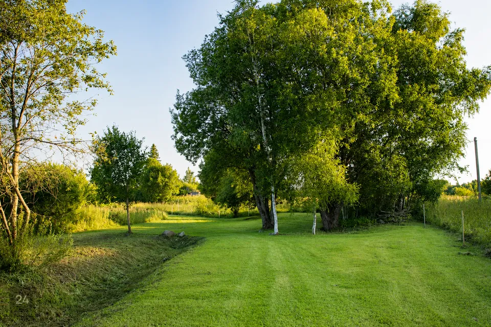 Maatulundusmaa, 9677 m² Maa  -  Raasiku vald, Tõhelgi küla