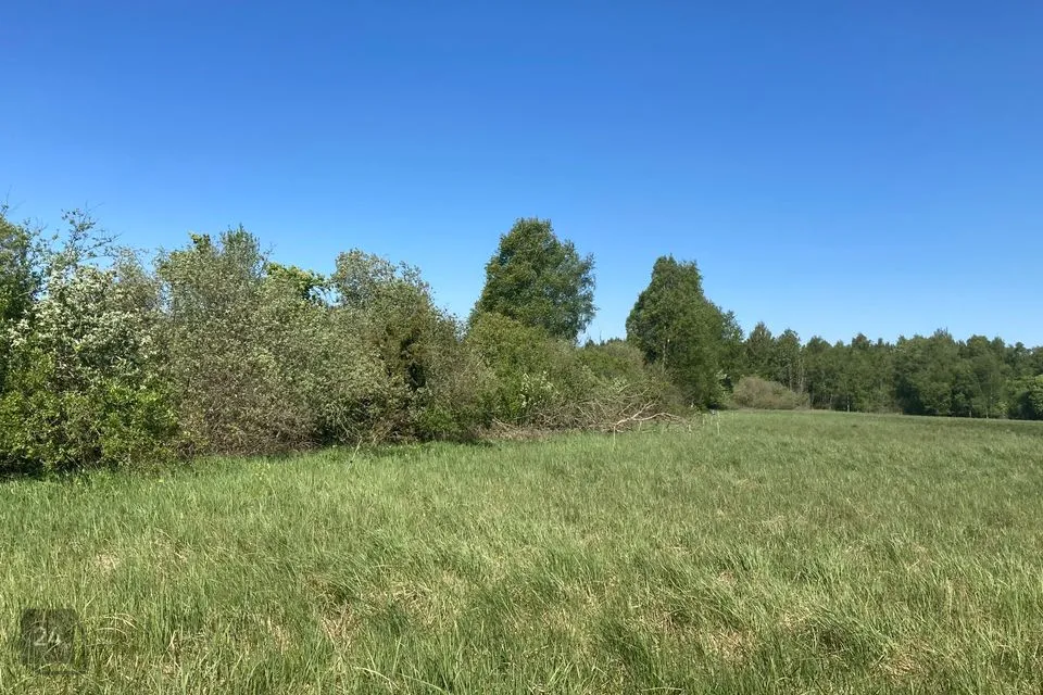 Maatulundusmaa, 10695 m² Maa - Saaremaa vald, Virita küla - foto 5