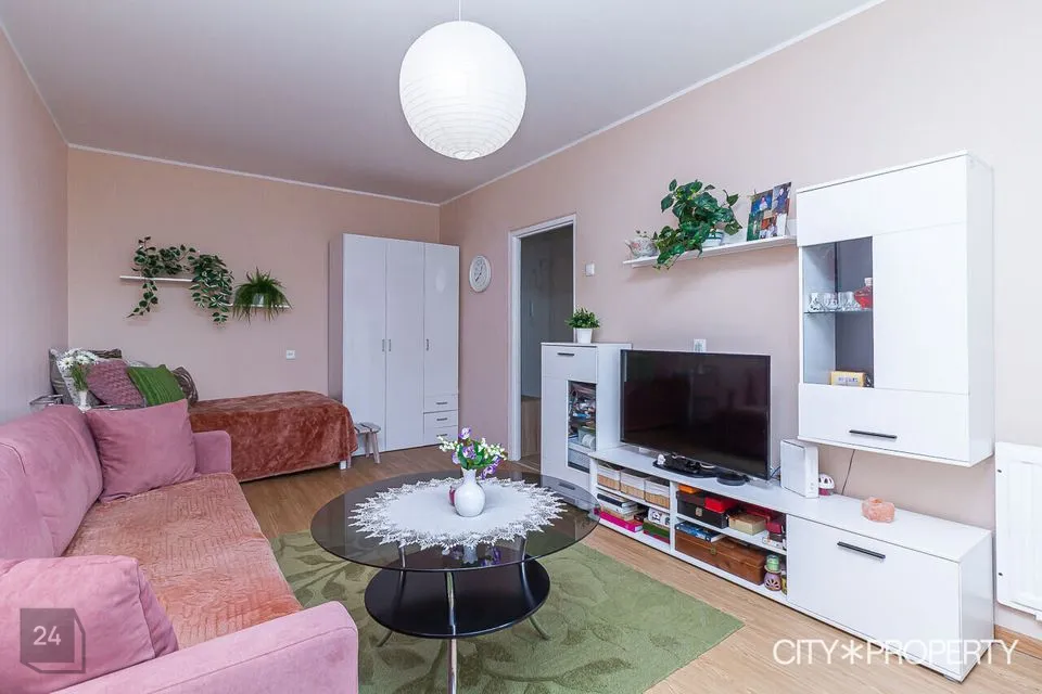 1-toaline Korter - Tallinn, Lasnamäe linnaosa - foto 4