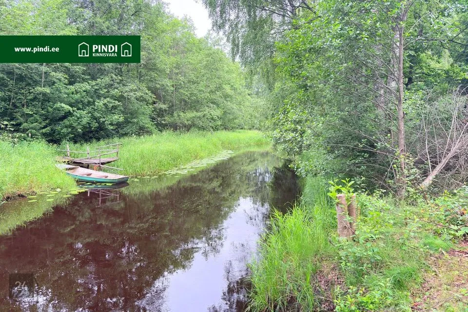 Elamumaa, 1535 m² Maa - Alutaguse vald, Alajõe küla - foto 4